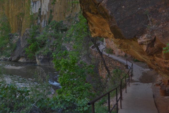 the River Walk trail